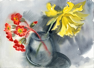 Watercolor sketch: red primroses  inflorescence and yellow daffodil Terry