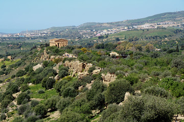 Fototapeta na wymiar View to the temple of Concordia in the valley of temples with Agrigento in the background 
