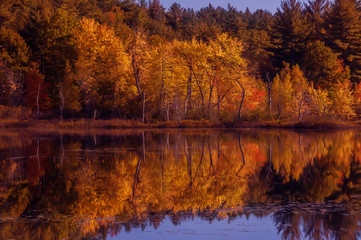 Beautiful view of the autumn lake. Reflection of red, orange yellow trees in the calm smooth surface of the lake. A riot of autumn colors. Acadia National Park. USA. Maine