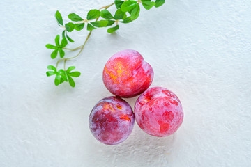 すもも (プラム)