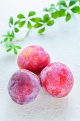 すもも (プラム)