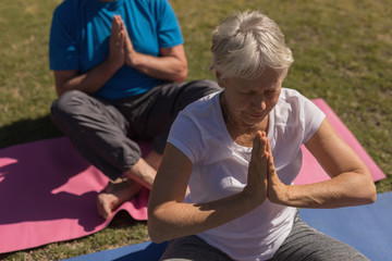 Fototapeta na wymiar Senior woman performing yoga in the park