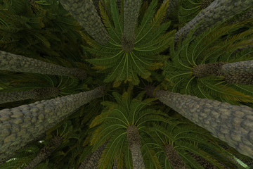 Palm trees isolated. Image useful for banners, posters or photo maipulations. 3d rendering. Illustration