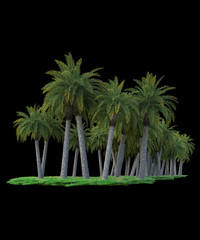 Palm trees isolated. Image useful for banners, posters or photo maipulations. 3d rendering. Illustration
