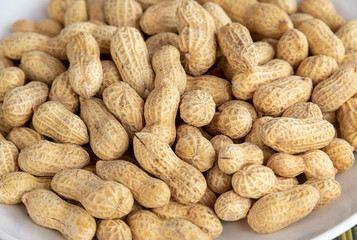 A plate of fried peanuts in a white porcelain plate