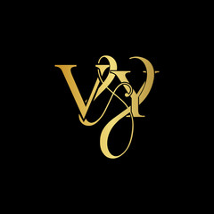 Initial letter V & Y VY luxury art vector mark logo, gold color on black background.