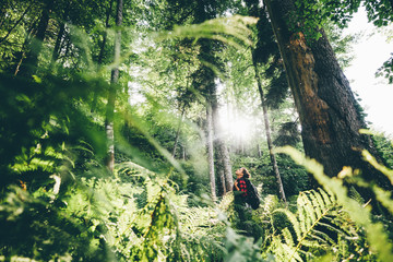 Woman with backpack walk through forest with fern leaves at the sunset. Traveling in nature...
