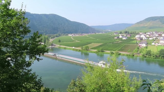 industrial ship barge on Moselle river next to villages Beilstein and Ellenz (Rhineland-Palatinate) in Germany.