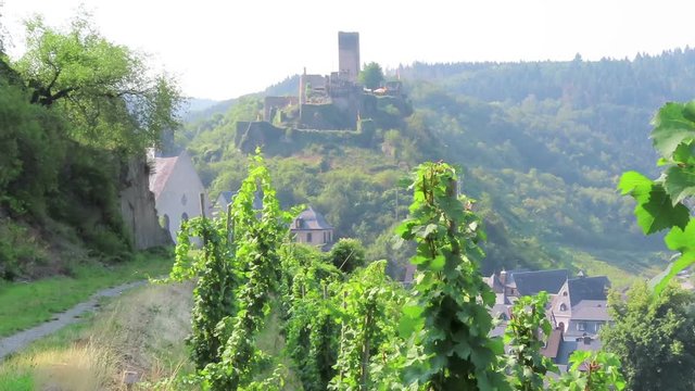 Cityscape of Beilstein at Moselle river surrounded by vineyards.