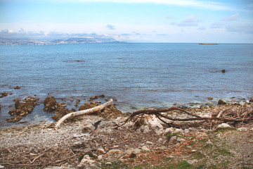 Fototapeta na wymiar Seashore view on sea with drift wood