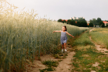  little girl runs on a wheat field in summer