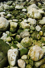 Fototapeta na wymiar Green sea water stones and rocks resting on seashore