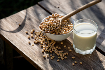 Soy milk cool and soybeans on wooden table background with lighting in the morning