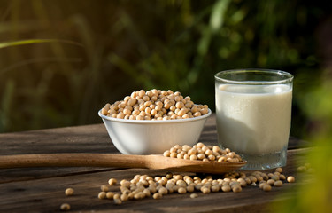 Soy milk cool and soybeans on wooden table background with lighting in the morning