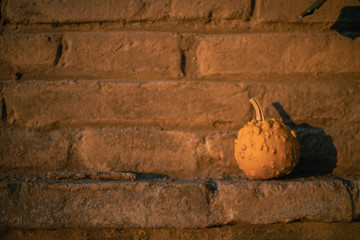 autumnal background with pumpkins ideal for halloween