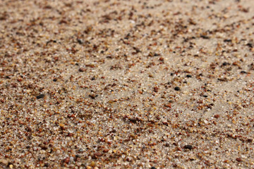 Beach sand texture background with tiny stones