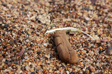 Piece of drift wood and a feather sail on textured sea beach sand background