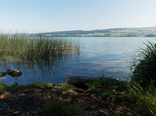 Schweizer Seenlandschaft - Der Hallwilersee - Kanton Aargau - Romantische Wanderweg zwischen Beinwil am see und Mosen mit schöne Aussicht auf den blau See