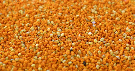 Flower pollen harvested by bees