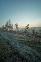 Beautiful sunrise in the forest. Frozen grass and leaves on the ground covered with frost - 288160336