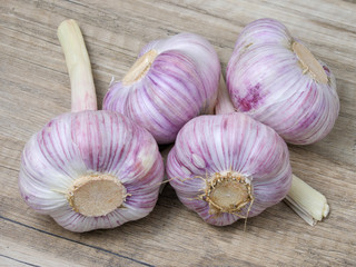 Fresh ripe garlic on wooden background.