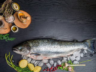 Salmon fish in ice cubes, Raw salmon fish whole with ingredients for cookings on black wooden table. Top view