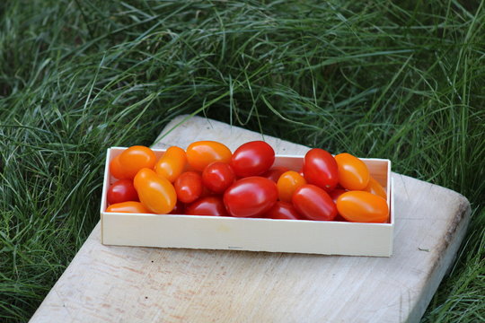 Tomates cerises rouges et oranges allong&eacute;es, dans cagette en bois.