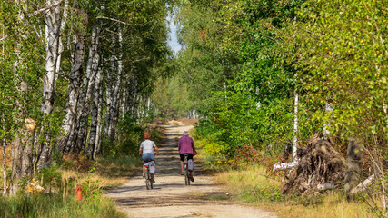 Obraz premium Radweg
