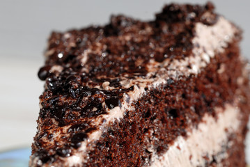 Chocolate cake with cream filling closeup. Shallow depth of field