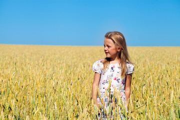 Naklejka na ściany i meble Little girl in a wheat golden field