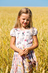 Little girl in a wheat golden field