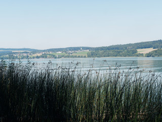 Schweizer Seenlandschaft - Rund um den Hallwilersee - Kanton Aargau - Beinwil am see. Seeuferweg und seeblick zwischen Beinwil am see und Mosen
