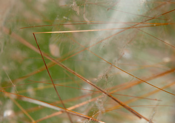 rutile  mineral specimen stone rock gem quartz crystal