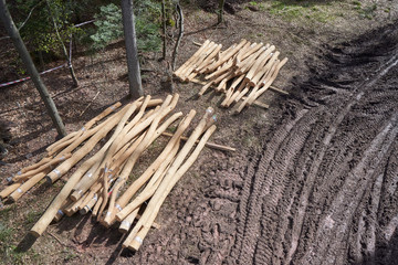 Treated clean logs, without bark, lie in a forest next to a dirt road. Logs for construction, top view