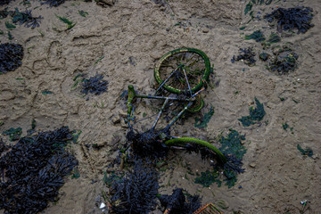 A discarded bicycle lies in the mud, revealed at low tide