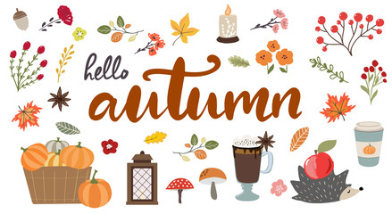 Hello Autumn hand drawn typography banner with hand drawn fall elements, hedgehog, leaves and branches.Cute autumn vector illustrations in modern sketch style © saltoli