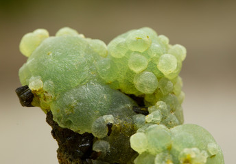 prehnite mineral specimen stone rock gem quartz crystal