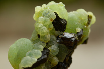 prehnite mineral specimen stone rock gem quartz crystal