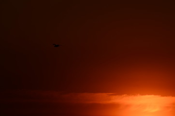sunset golden sky , nature photo