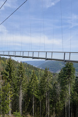 Beautiful landscape with a hanging iron bridge over a coniferous forest in Germany, Schwarzwald