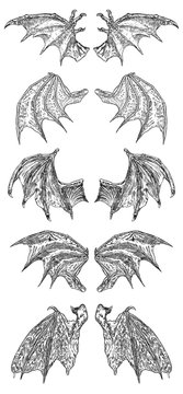 Gargoyle wings deals