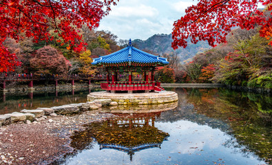 naejangsan mountain in autumn south korea - obrazy, fototapety, plakaty