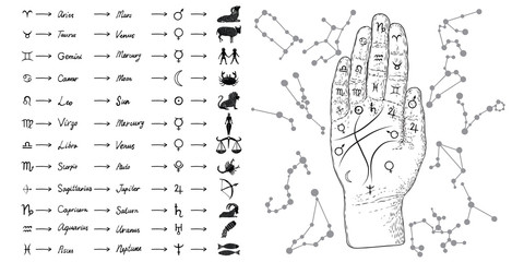 Fortune teller hand with Palmistry diagram and zodiac constellations. Magic alchemy spirituality symbol. Hand drawn sketchy palm reading with mystic and occult hand drawn esoteric symbols. Vector.