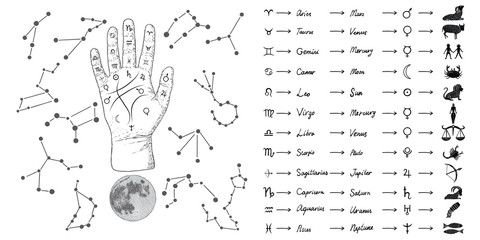 Fortune teller hand with Palmistry diagram and zodiac constellations. Magic alchemy spirituality symbol. Hand drawn sketchy palm reading with mystic and occult hand drawn esoteric symbols. Vector.