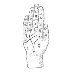 Palmistry. Esoteric occult symbols on hand, palm of prophecy or reading design. Hand drawing. Vector.