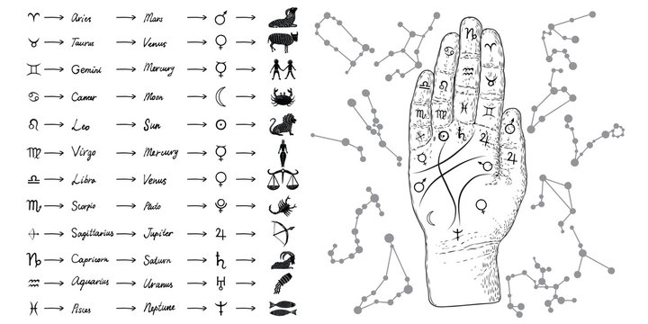 Fortune teller hand with Palmistry diagram and zodiac constellations. Magic alchemy spirituality symbol. Hand drawn sketchy palm reading with mystic and occult hand drawn esoteric symbols. Vector.