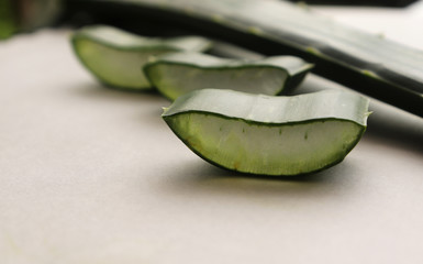 Aloe Vera Leaf Slices
