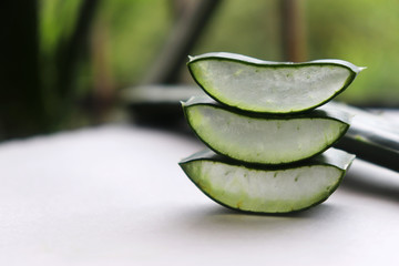 Aloe Vera Leaf Slices