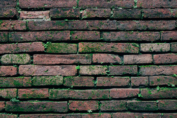 Dark Orange Old Brick Wall Texture background with grass. Old wall from red brick .