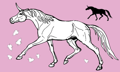 the set of drawn  isolated black and white unicorns on a pink background 